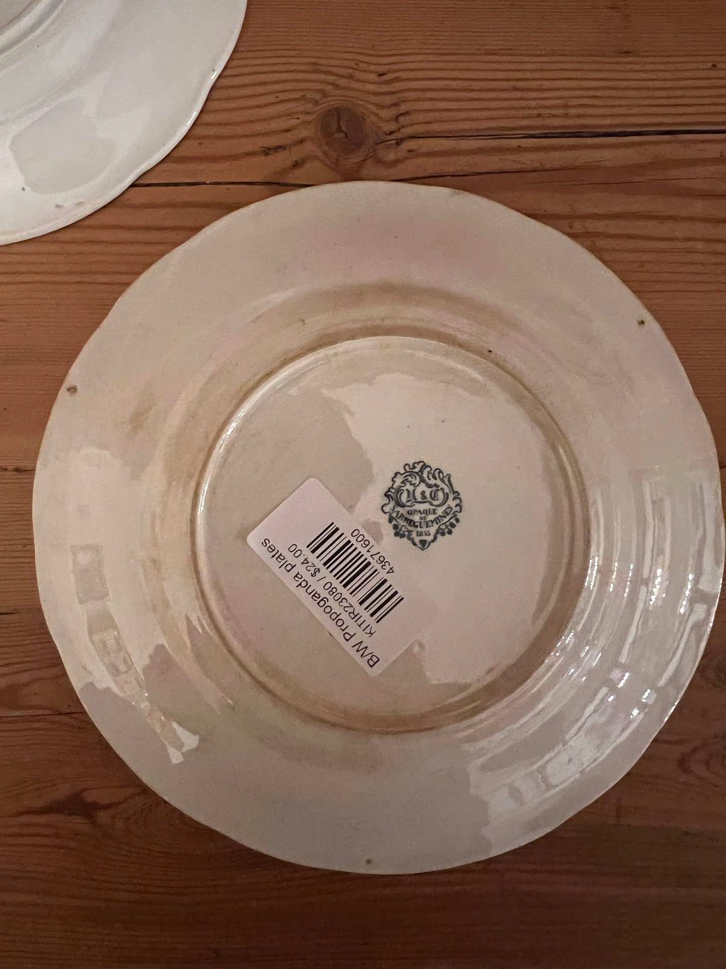 French Conversation Plates