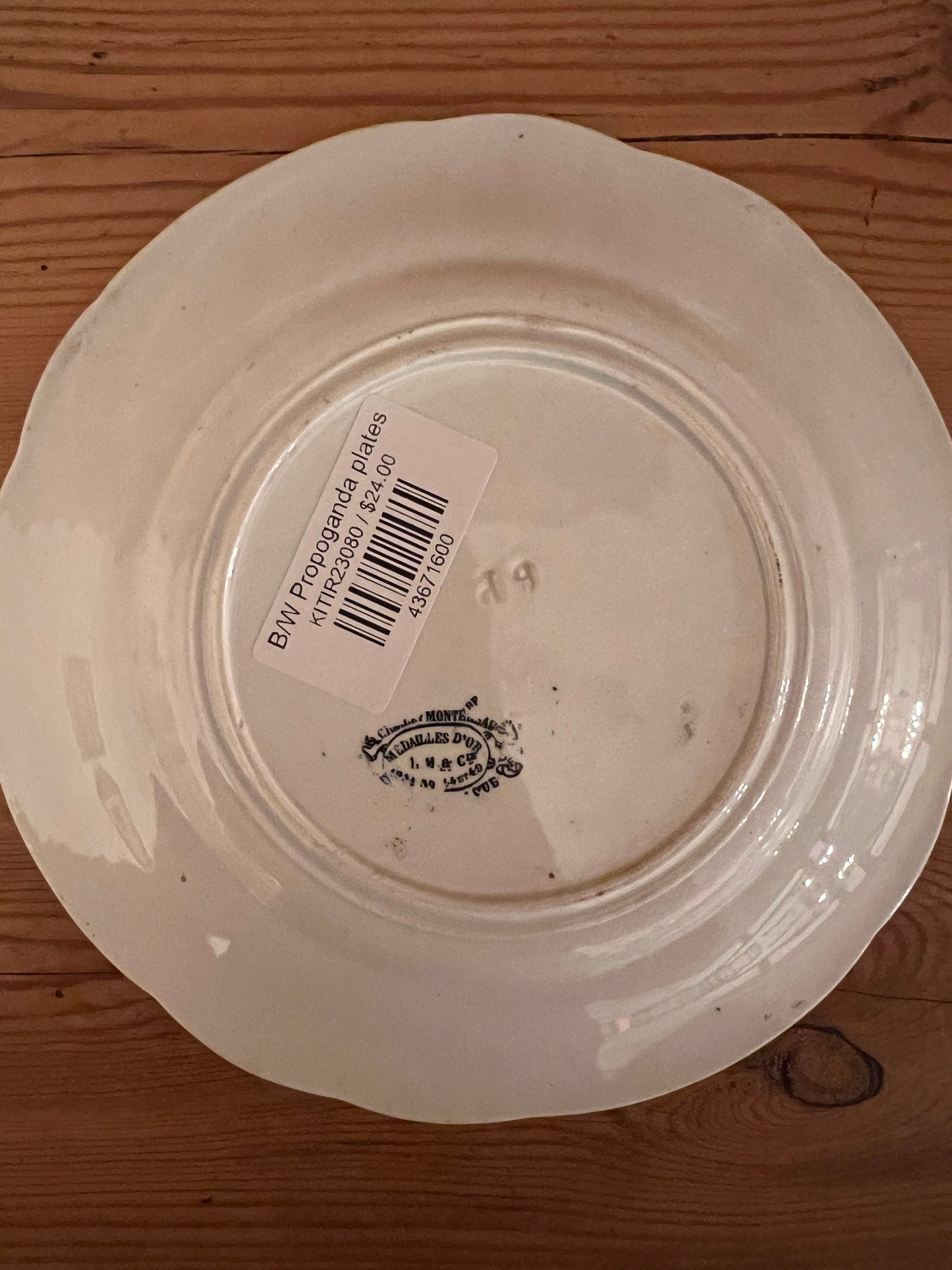 French Conversation Plates