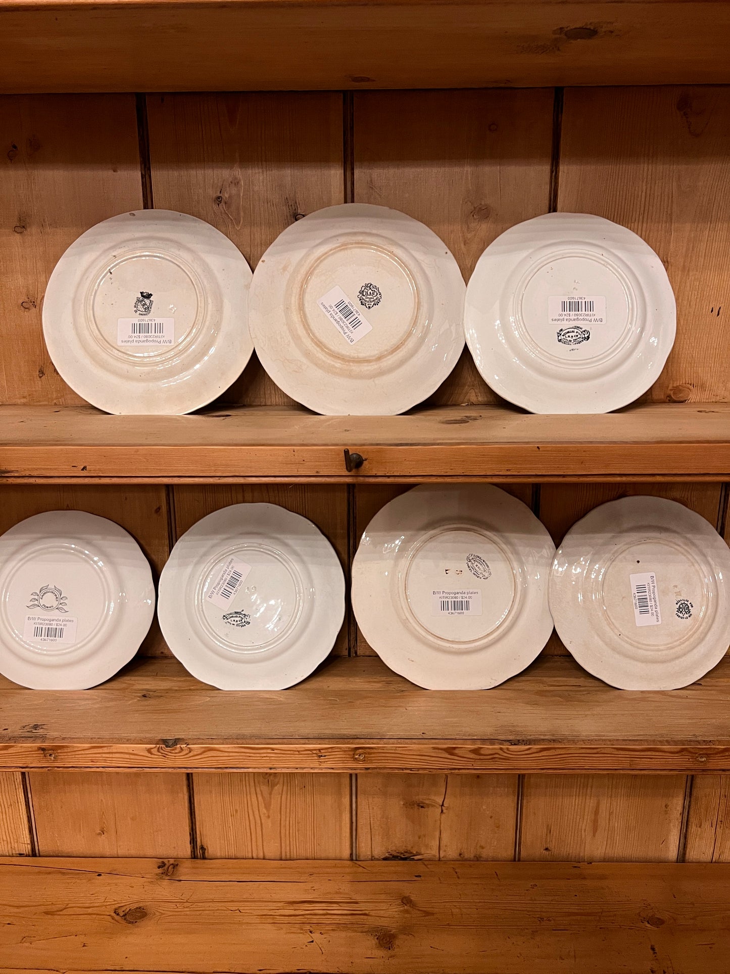 French Conversation Plates