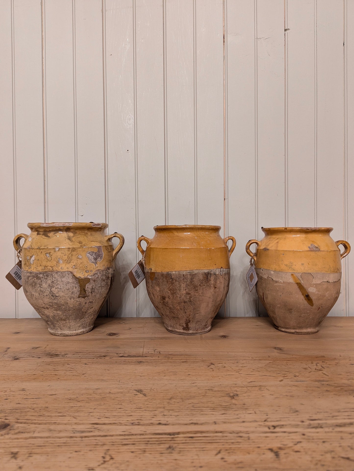 Mustard Confit Pot 10