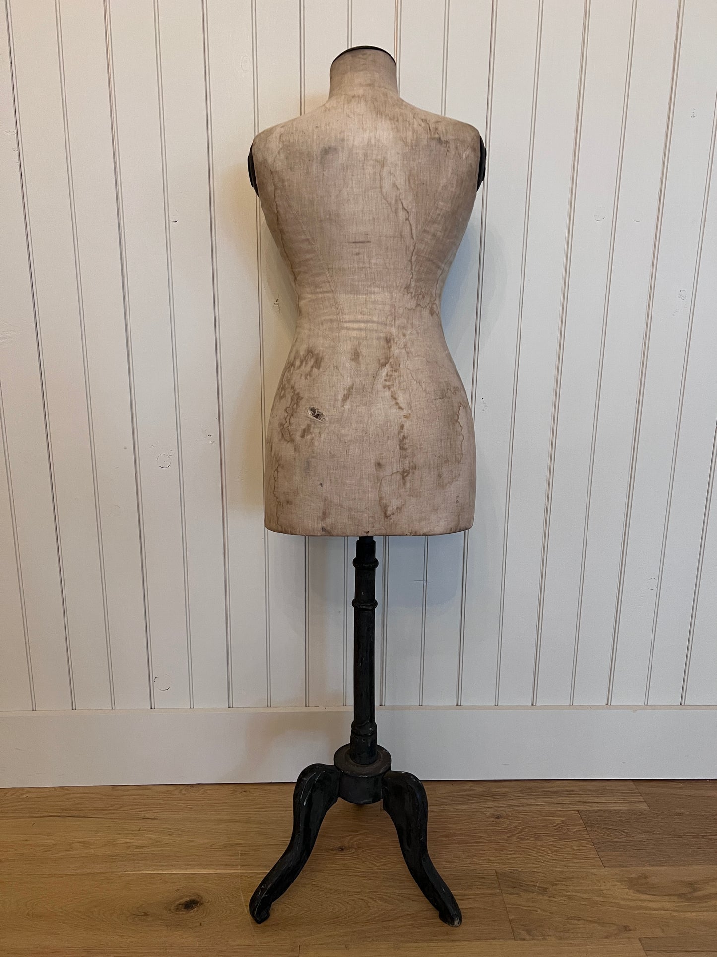 Parisian Stockman Dress Form