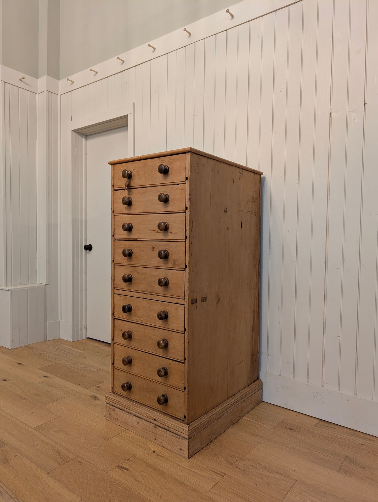 English Pine Specimen Cabinet