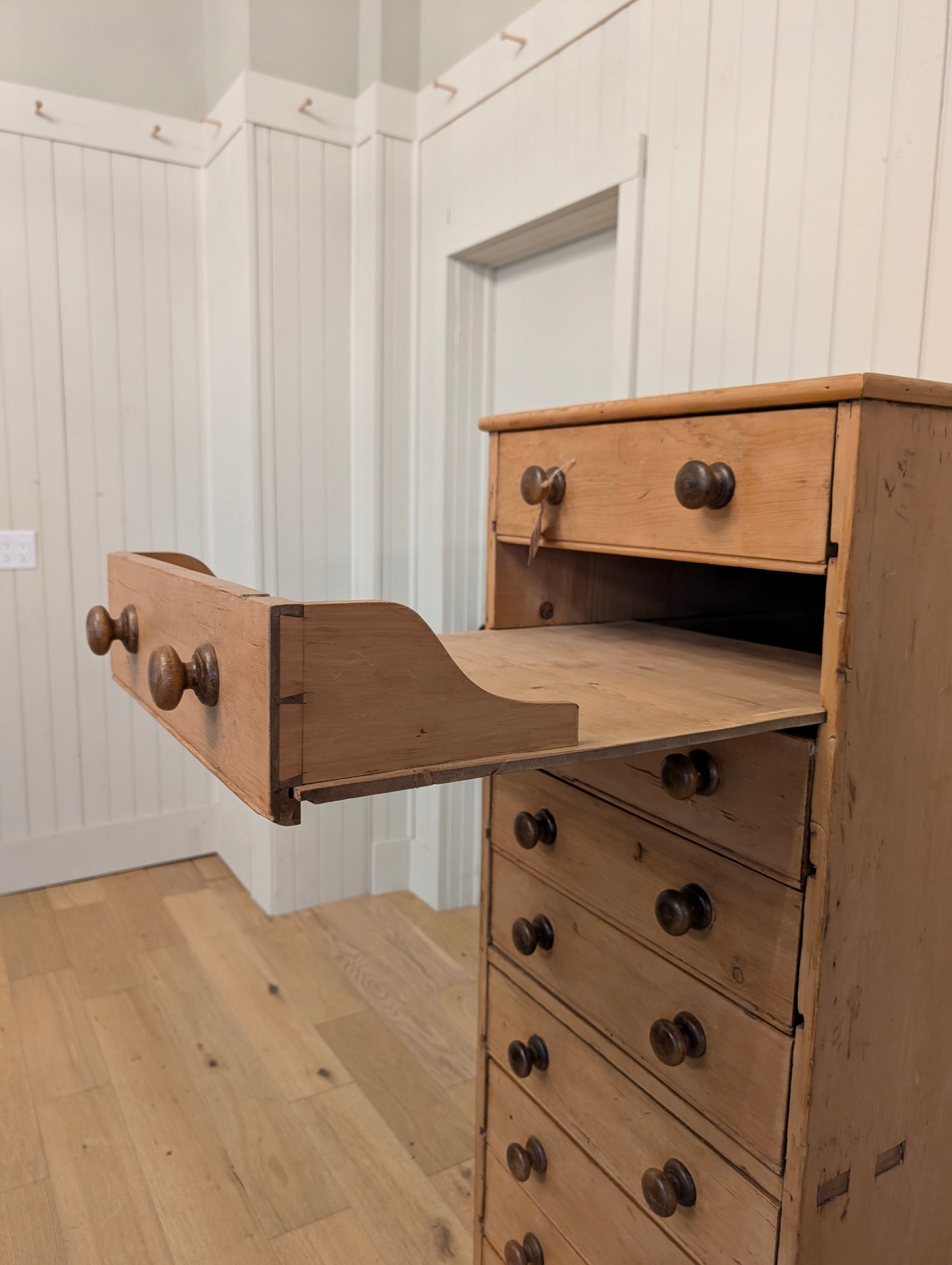 English Pine Specimen Cabinet