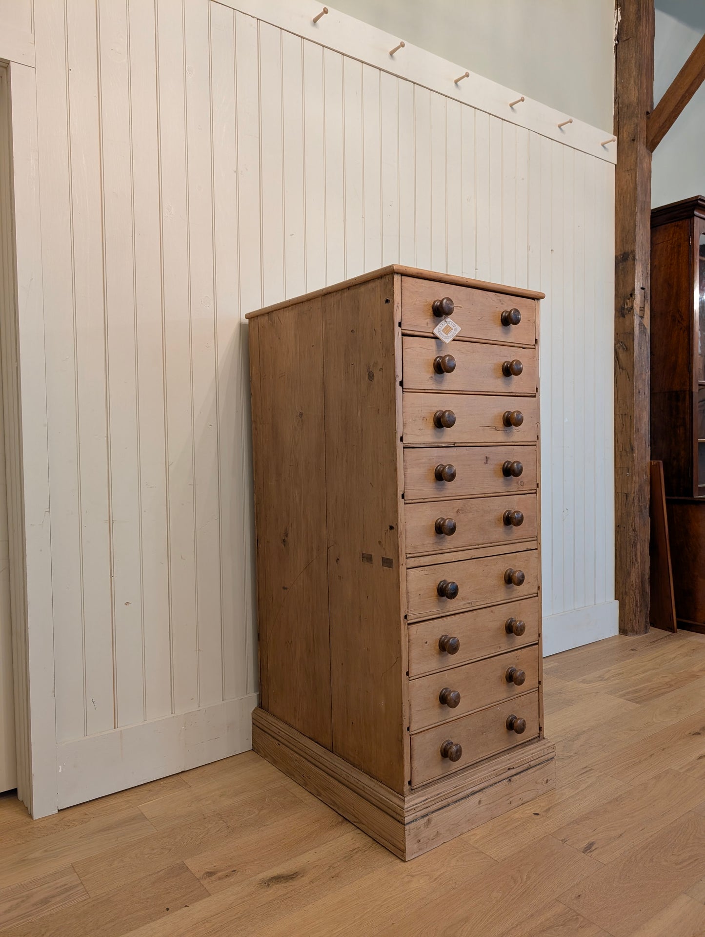 English Pine Specimen Cabinet