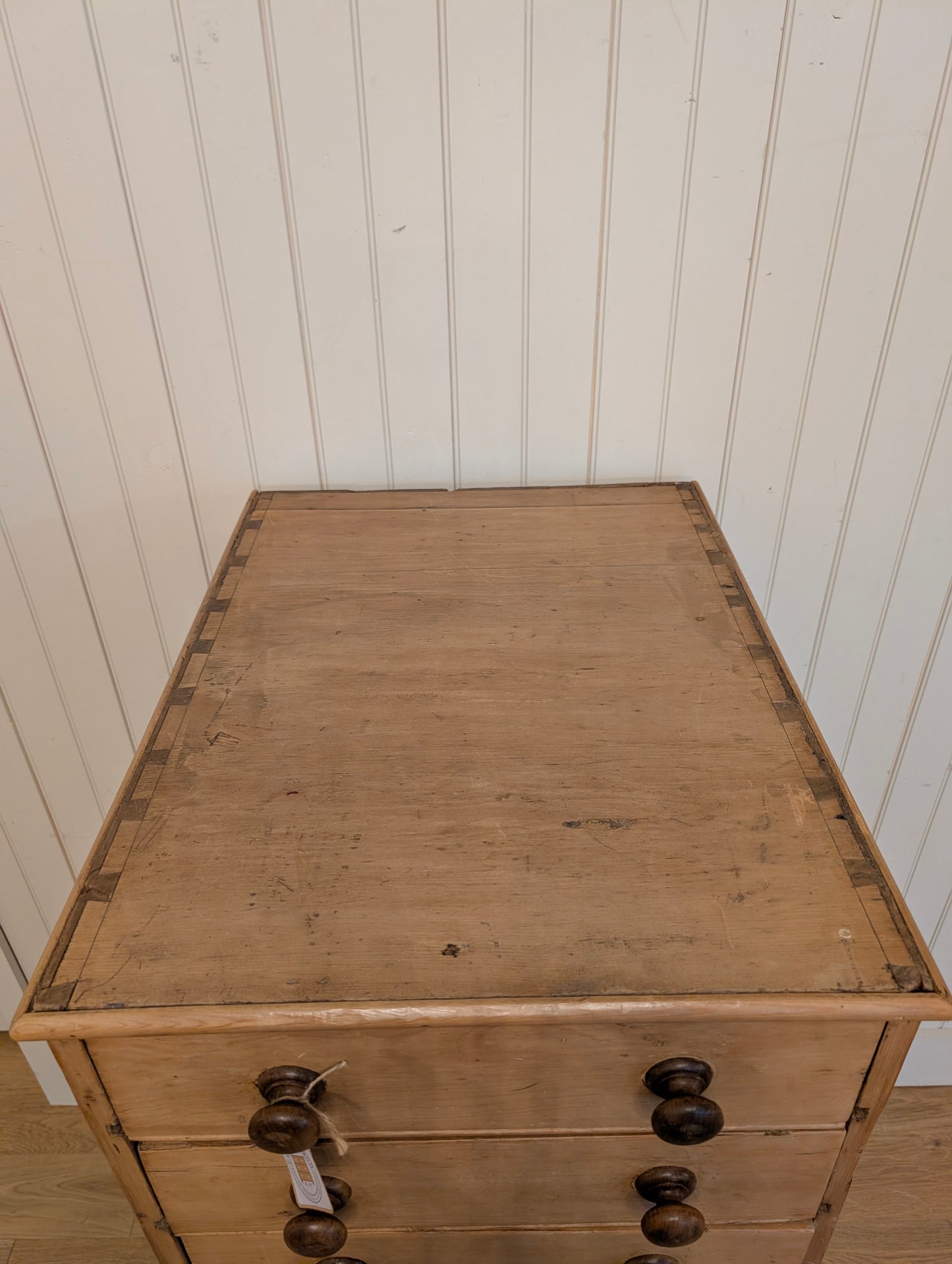 English Pine Specimen Cabinet