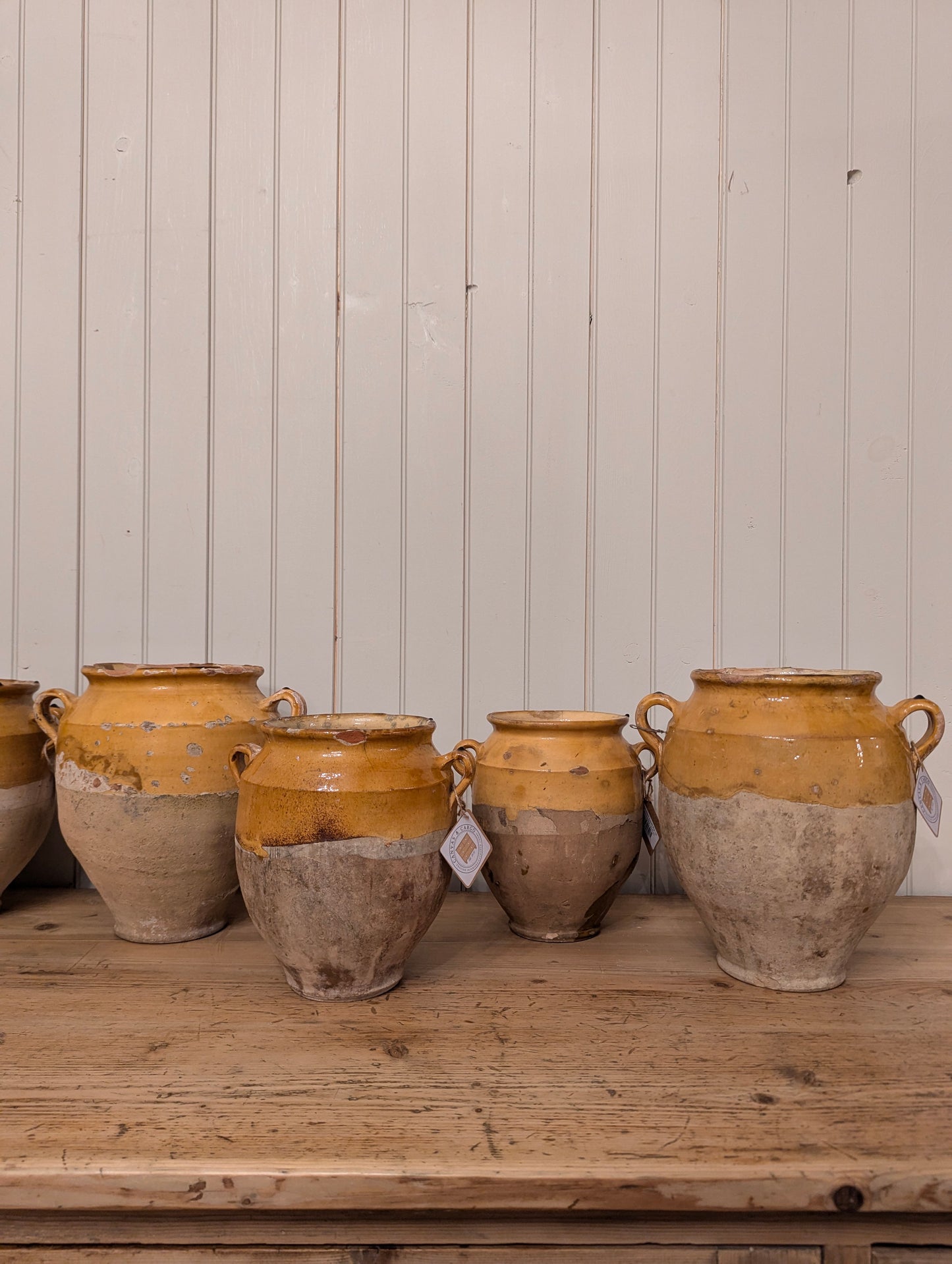 Mustard Confit Pot 11