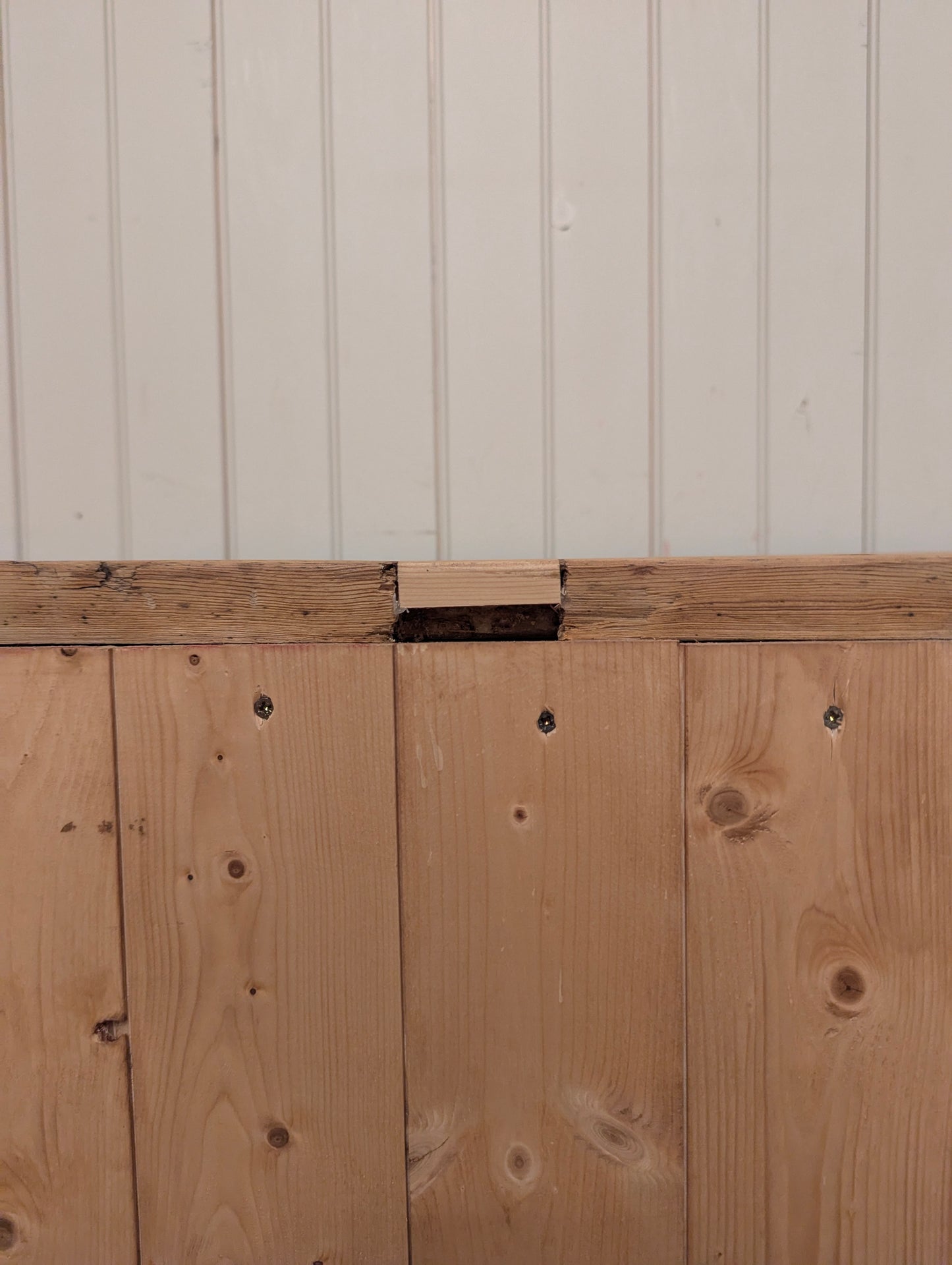Stout Pine 2 Door Cupboard