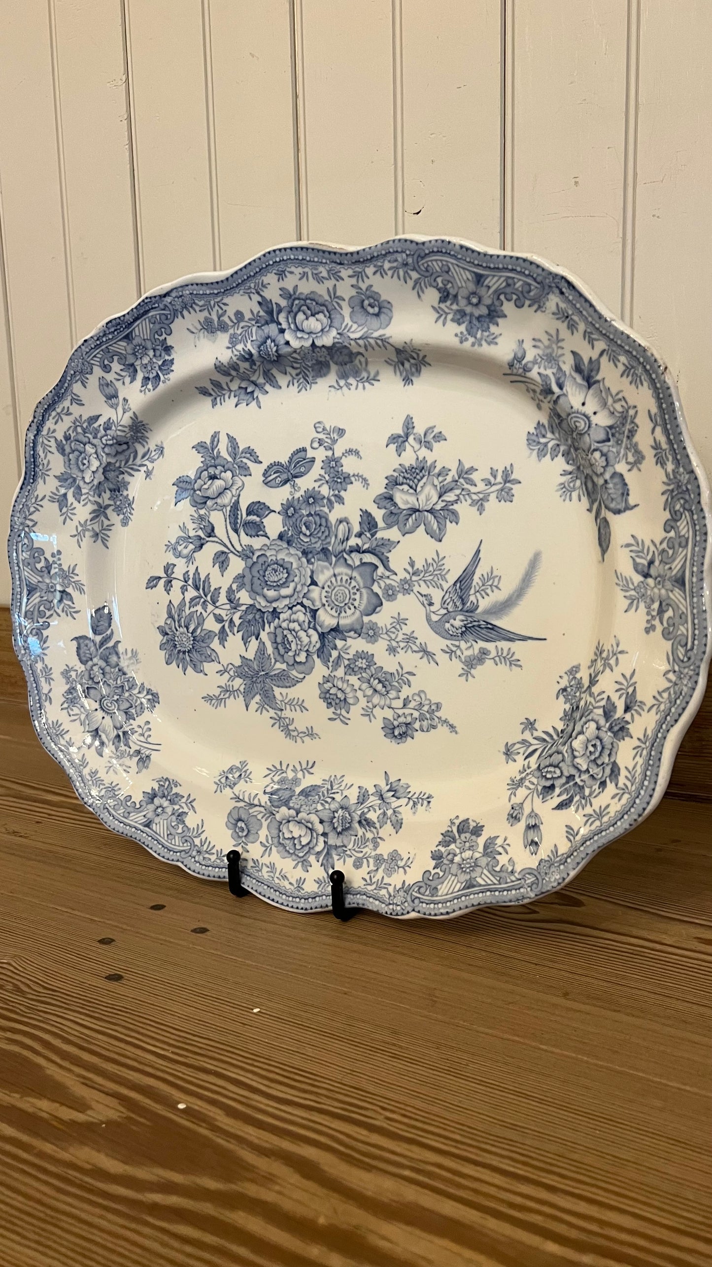 Asiatic Pheasant XL Scalloped Platter