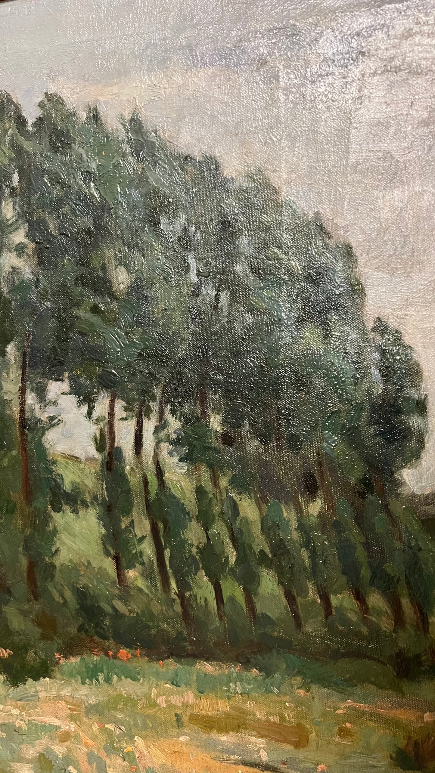 Tree Lined Meadow - Oil on Canvas