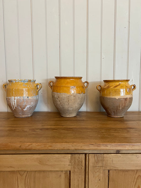 Mustard Confit Pot 9