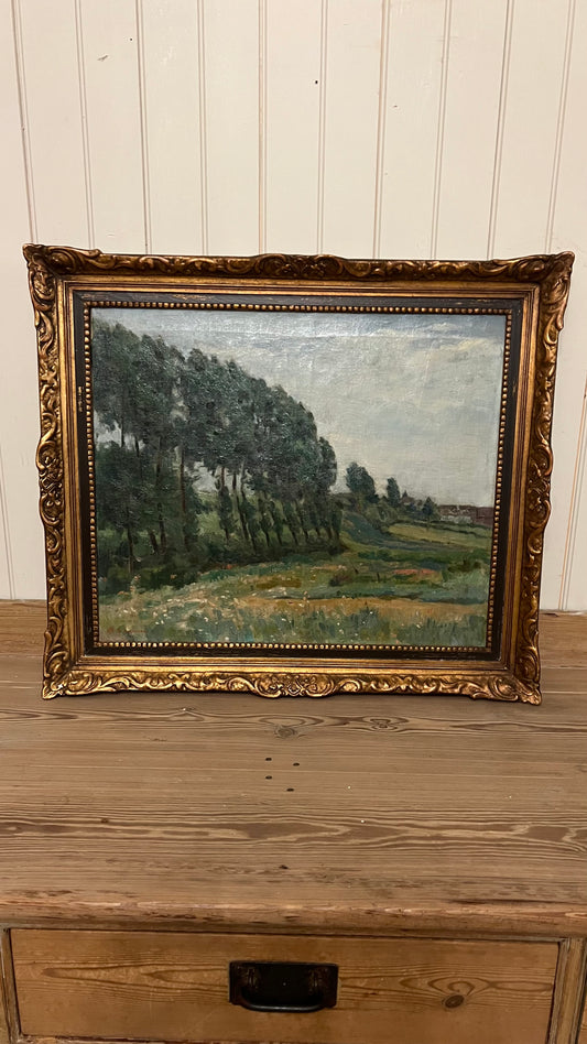 Tree Lined Meadow - Oil on Canvas