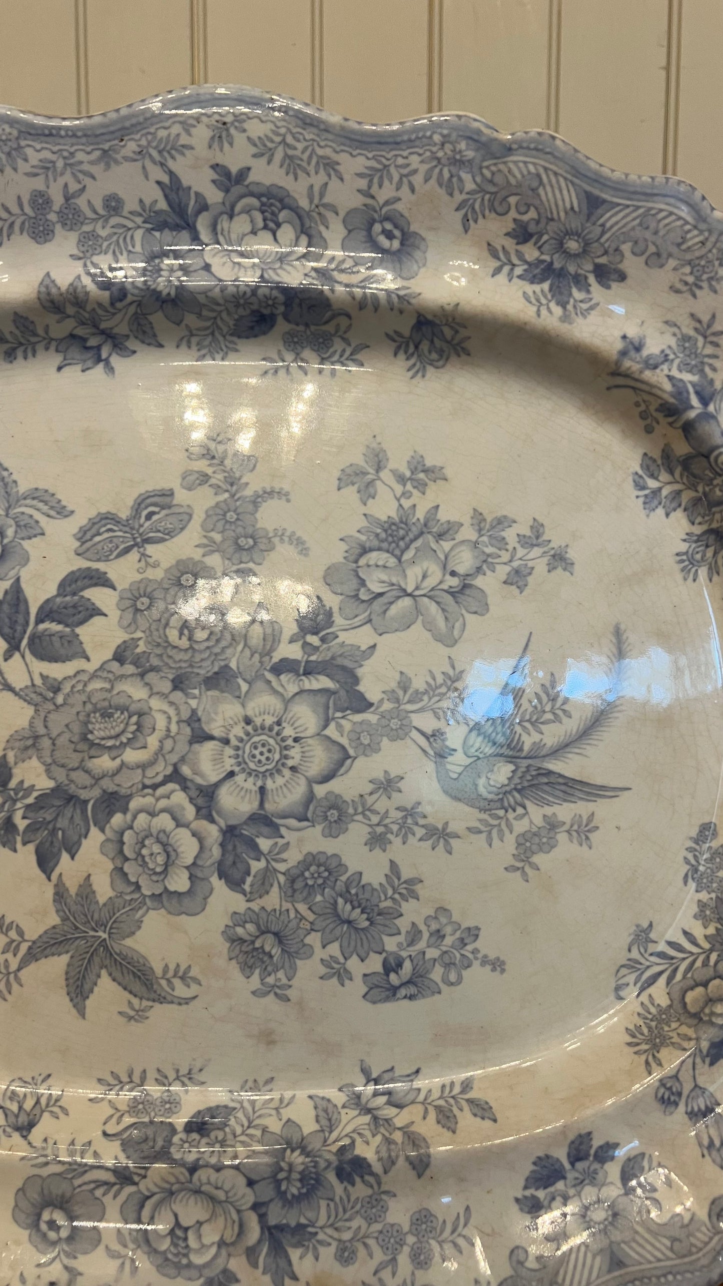 Asiatic Pheasant XL Scalloped Platter