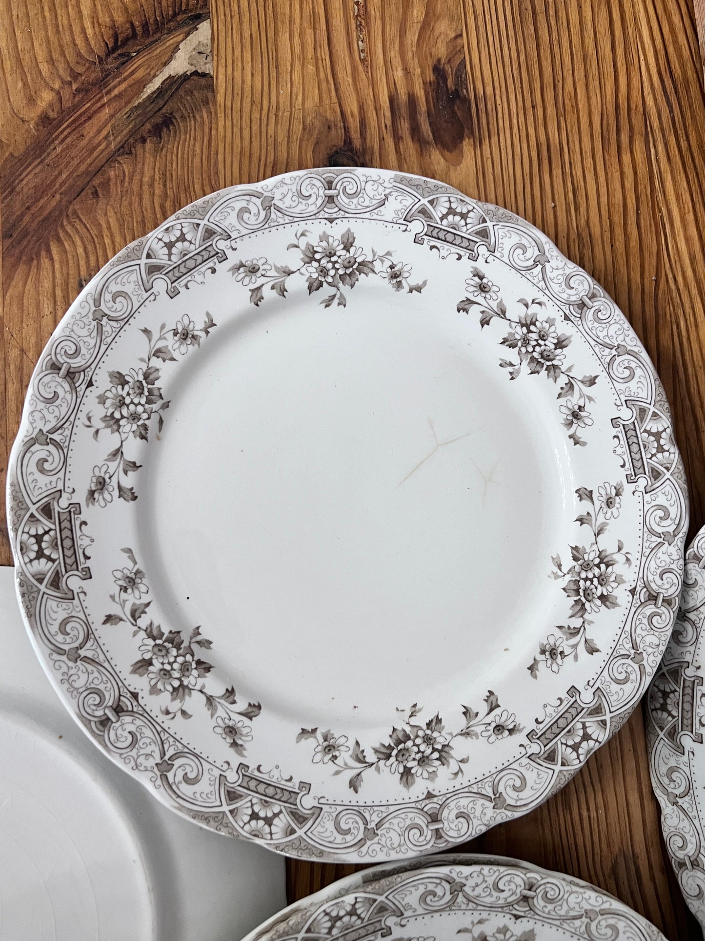 Henry Alcock Ironstone Dinner Plate