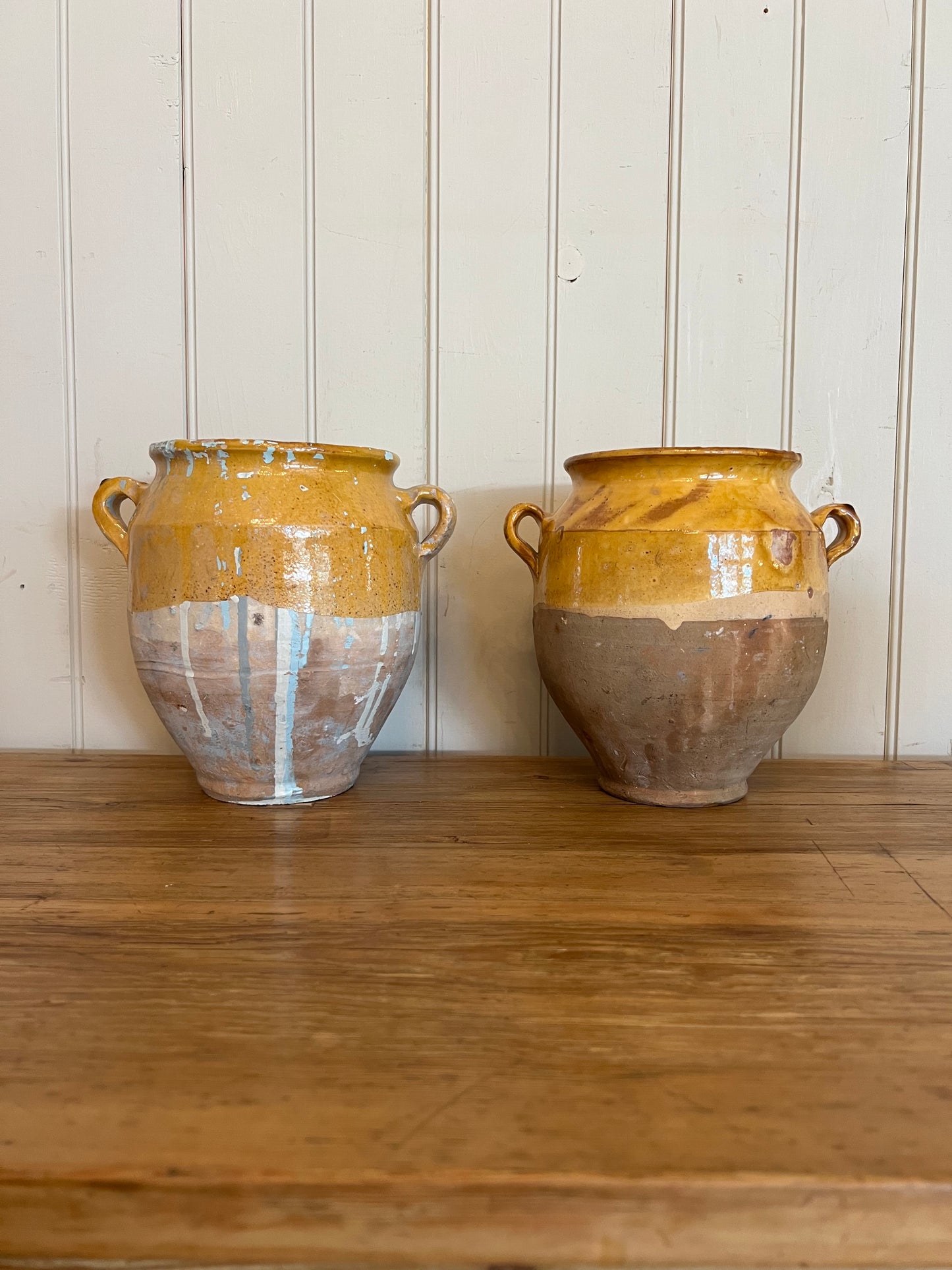 Mustard Confit Pot 8