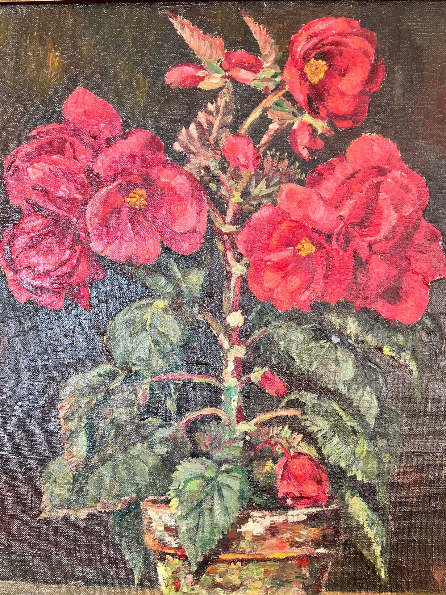 Swedish Begonia Oil on Canvas