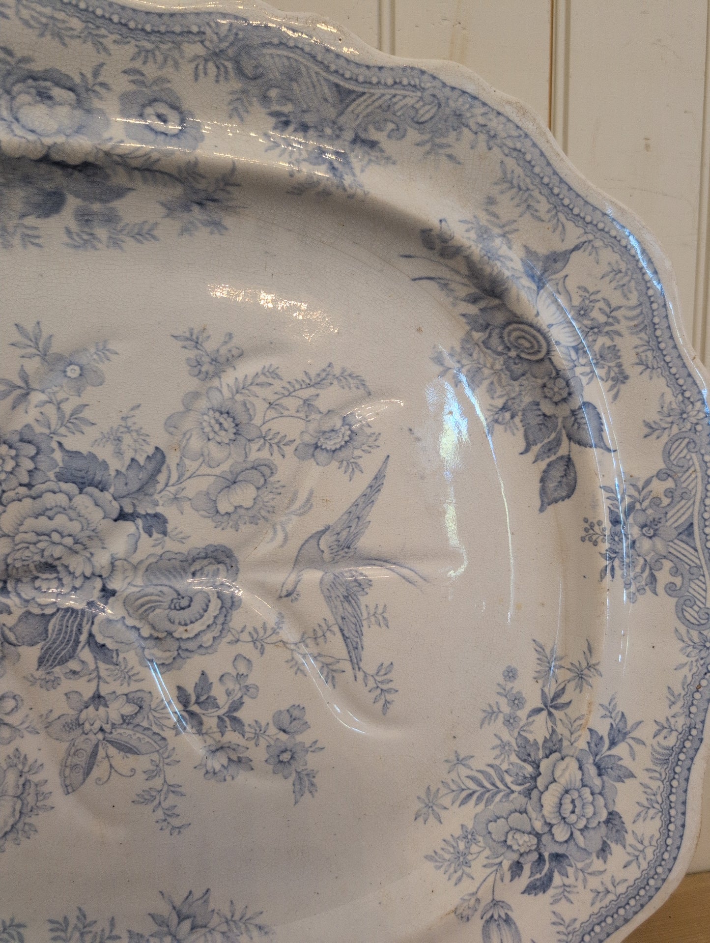 Asiatic Pheasant XXL Meat Platter