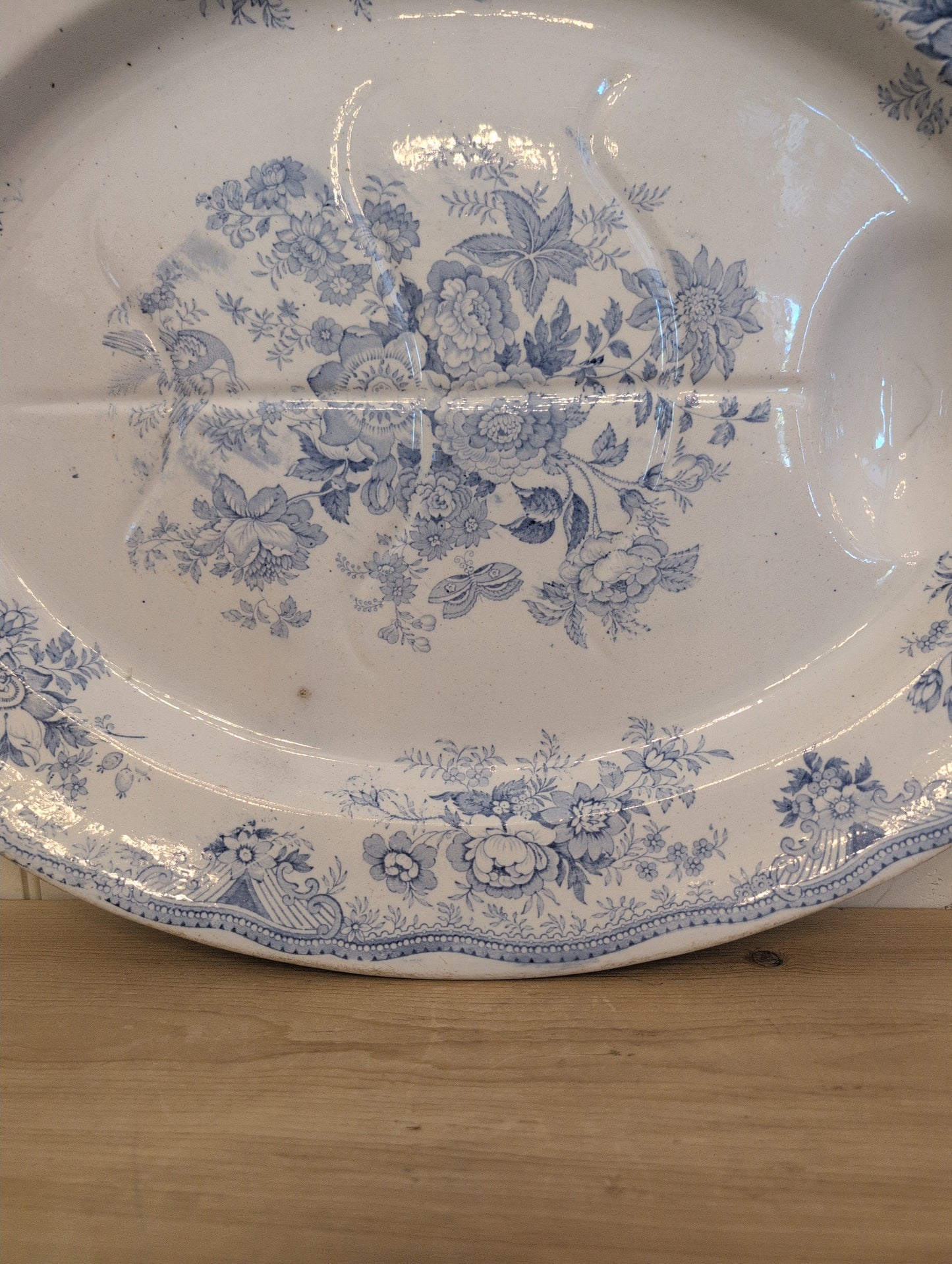Asiatic Pheasant XXL Oval Meat Platter