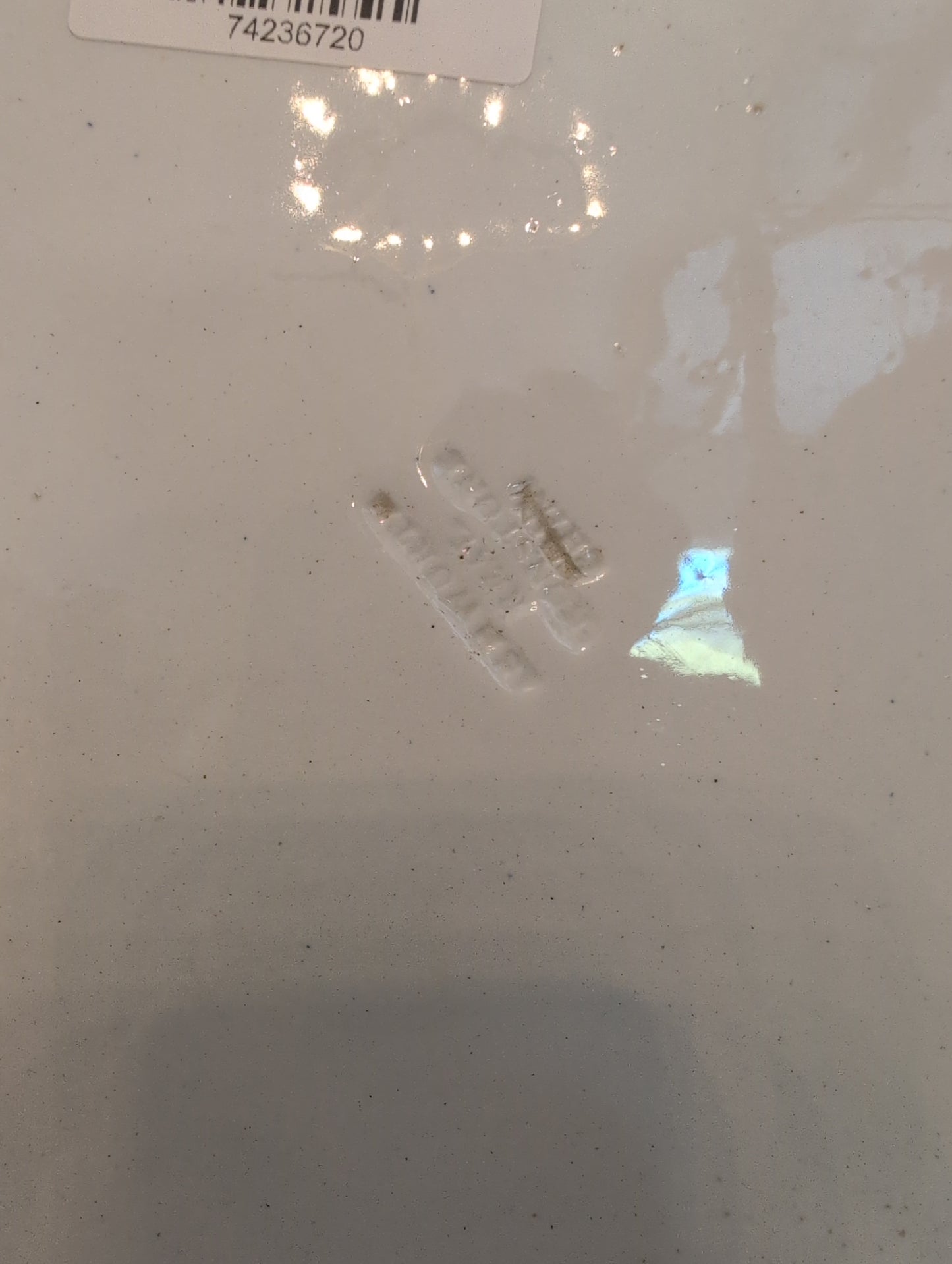 Asiatic Pheasant XXL Oval Meat Platter