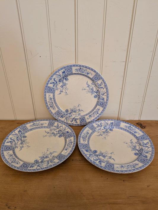 Wallis Gimson "Garfield" Plate C.1885 Lt. Blue