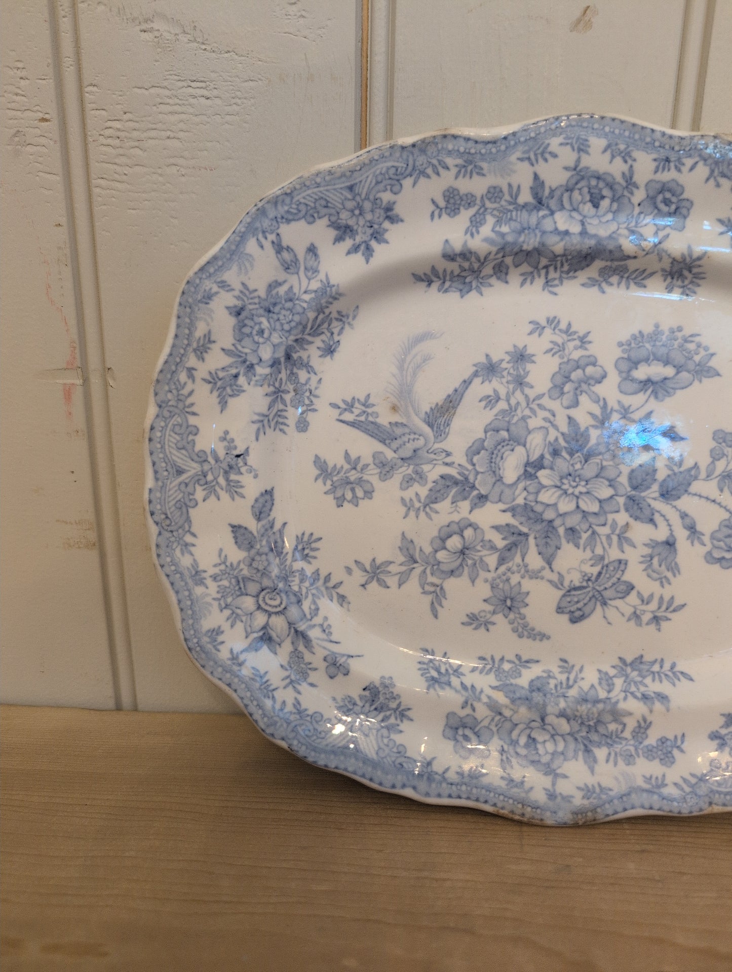 Asiatic Pheasant XS Scalloped Platter