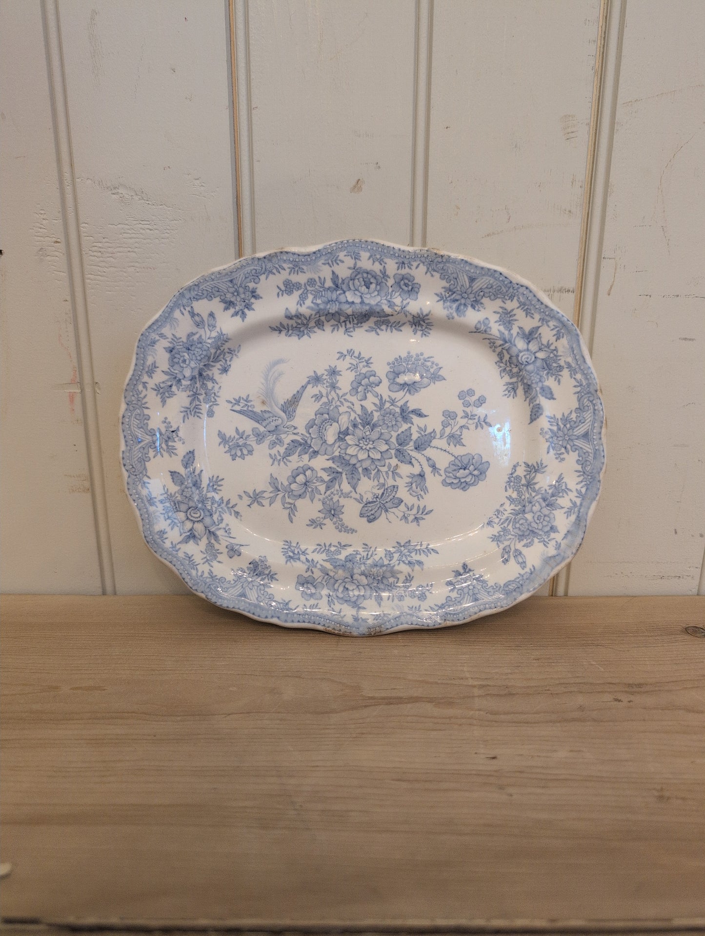 Asiatic Pheasant XS Scalloped Platter