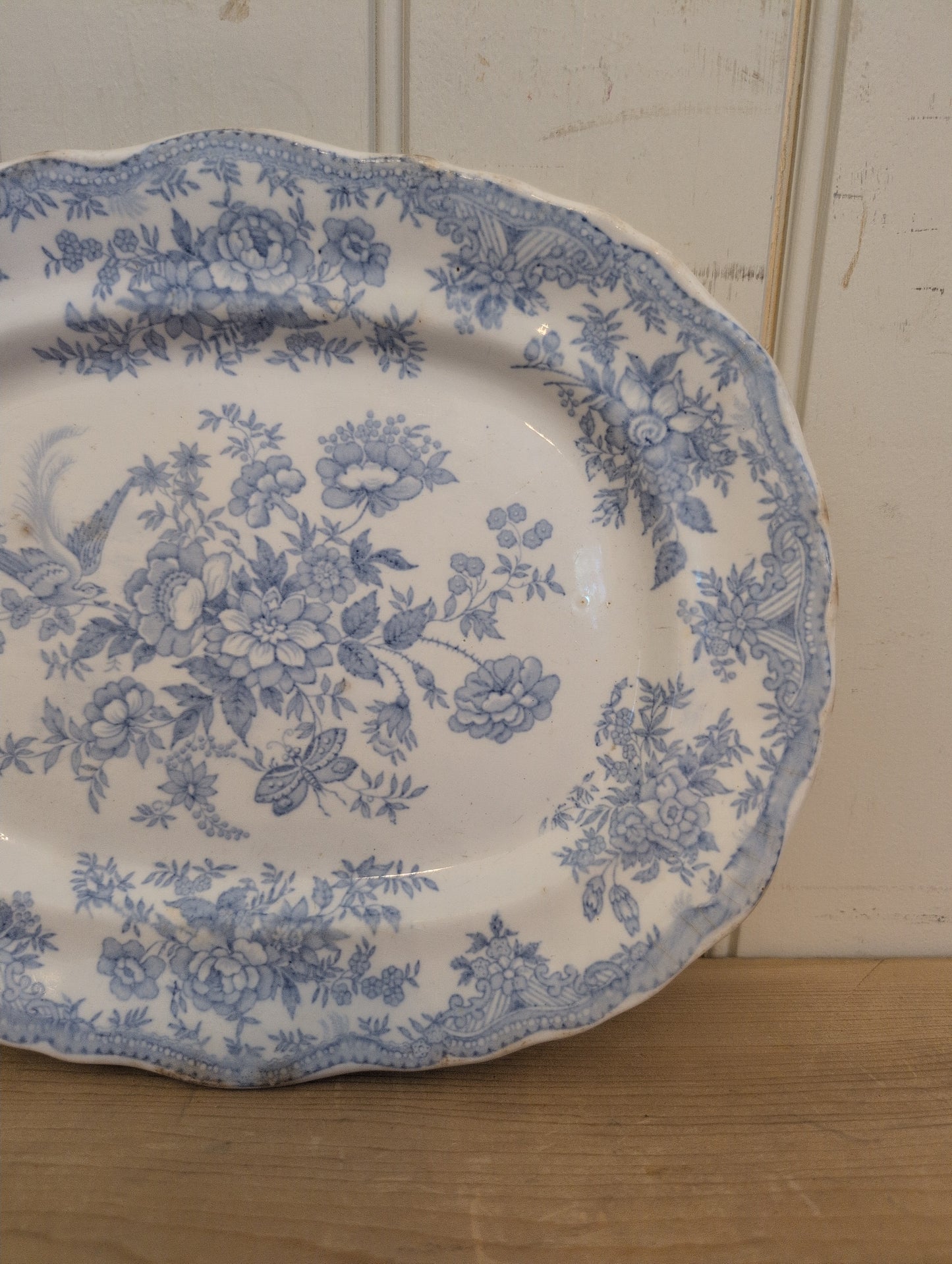 Asiatic Pheasant XS Scalloped Platter