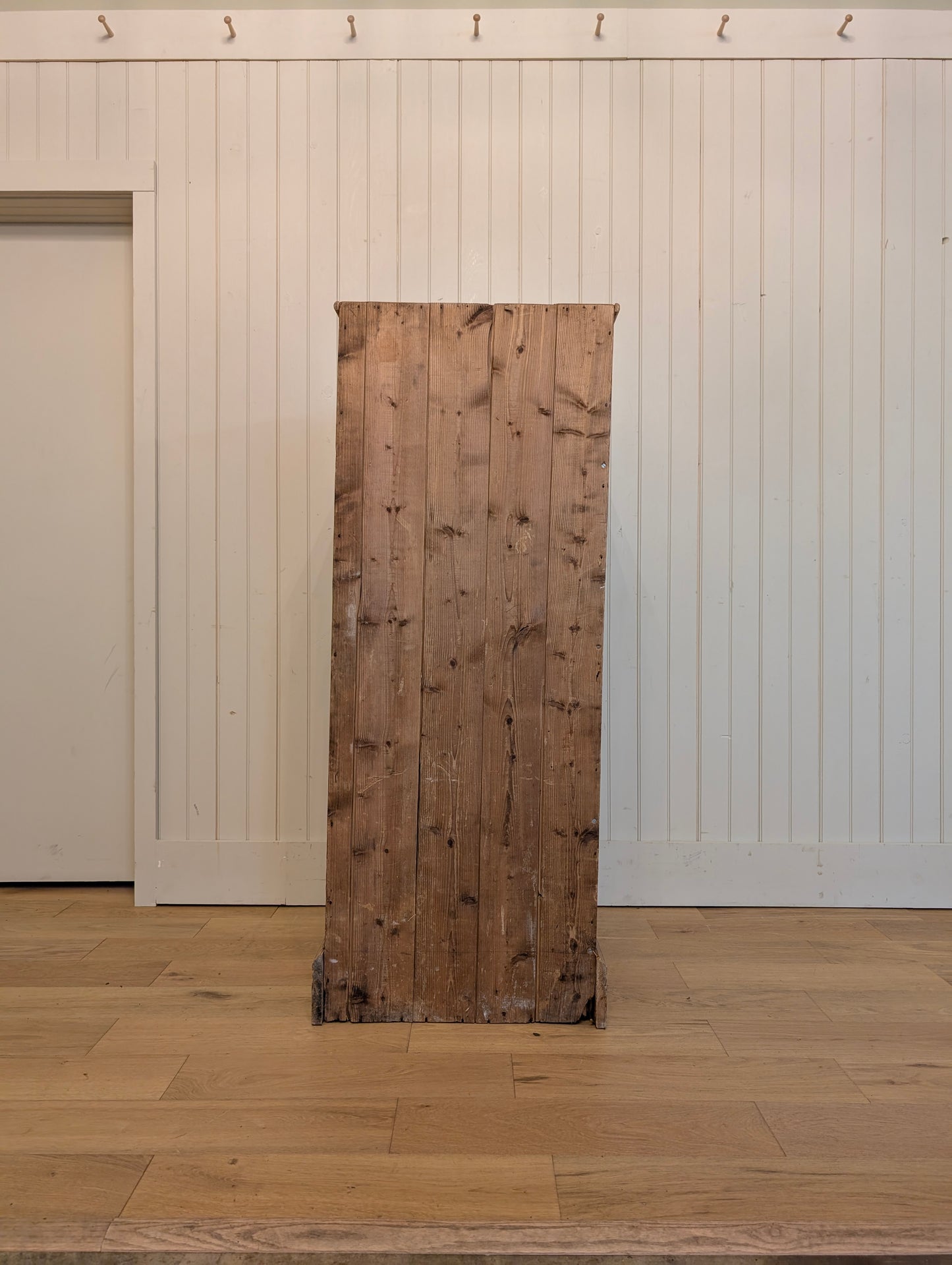English Pine Specimen Cabinet
