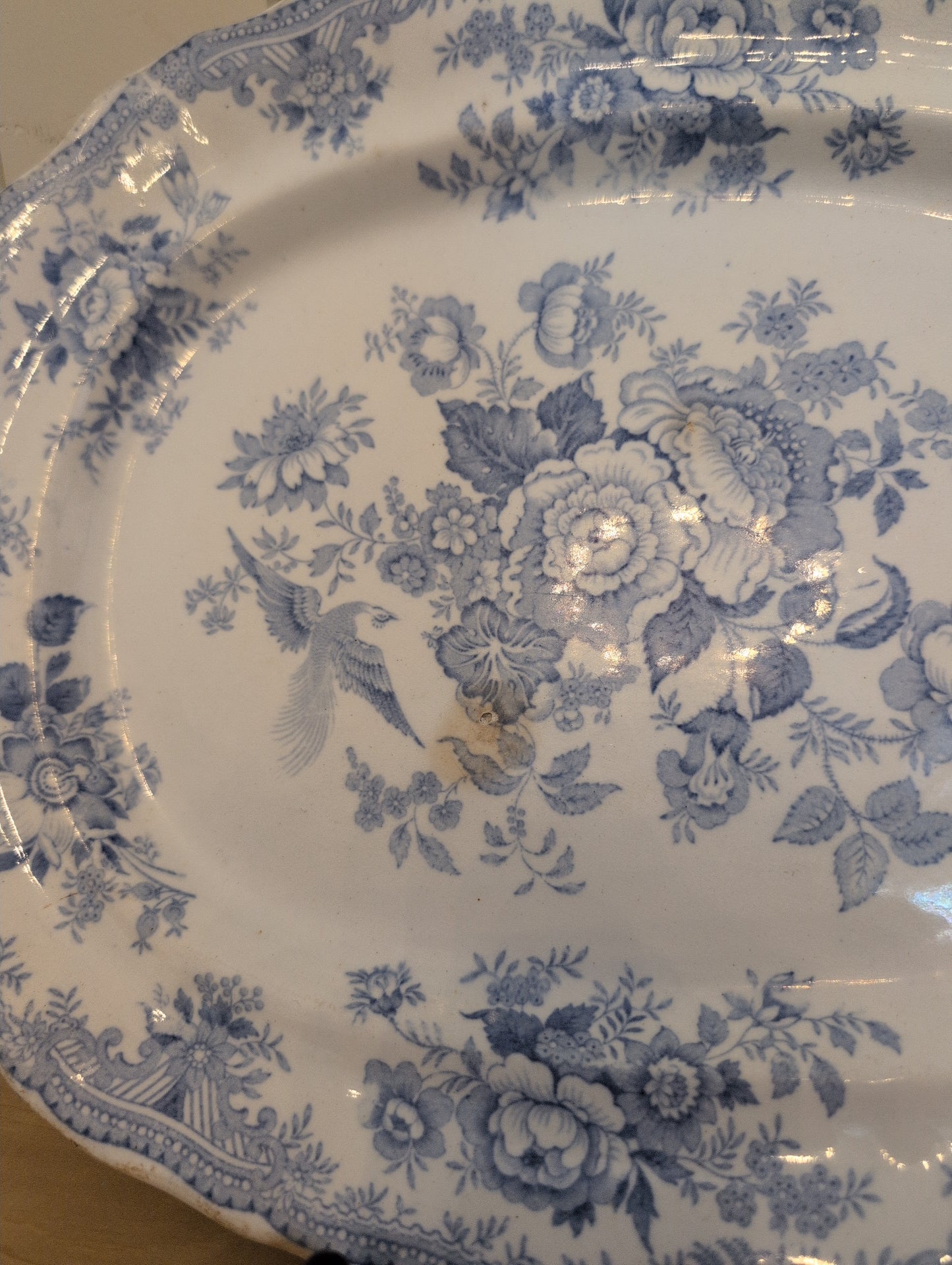 Asiatic Pheasant M Scalloped Platter