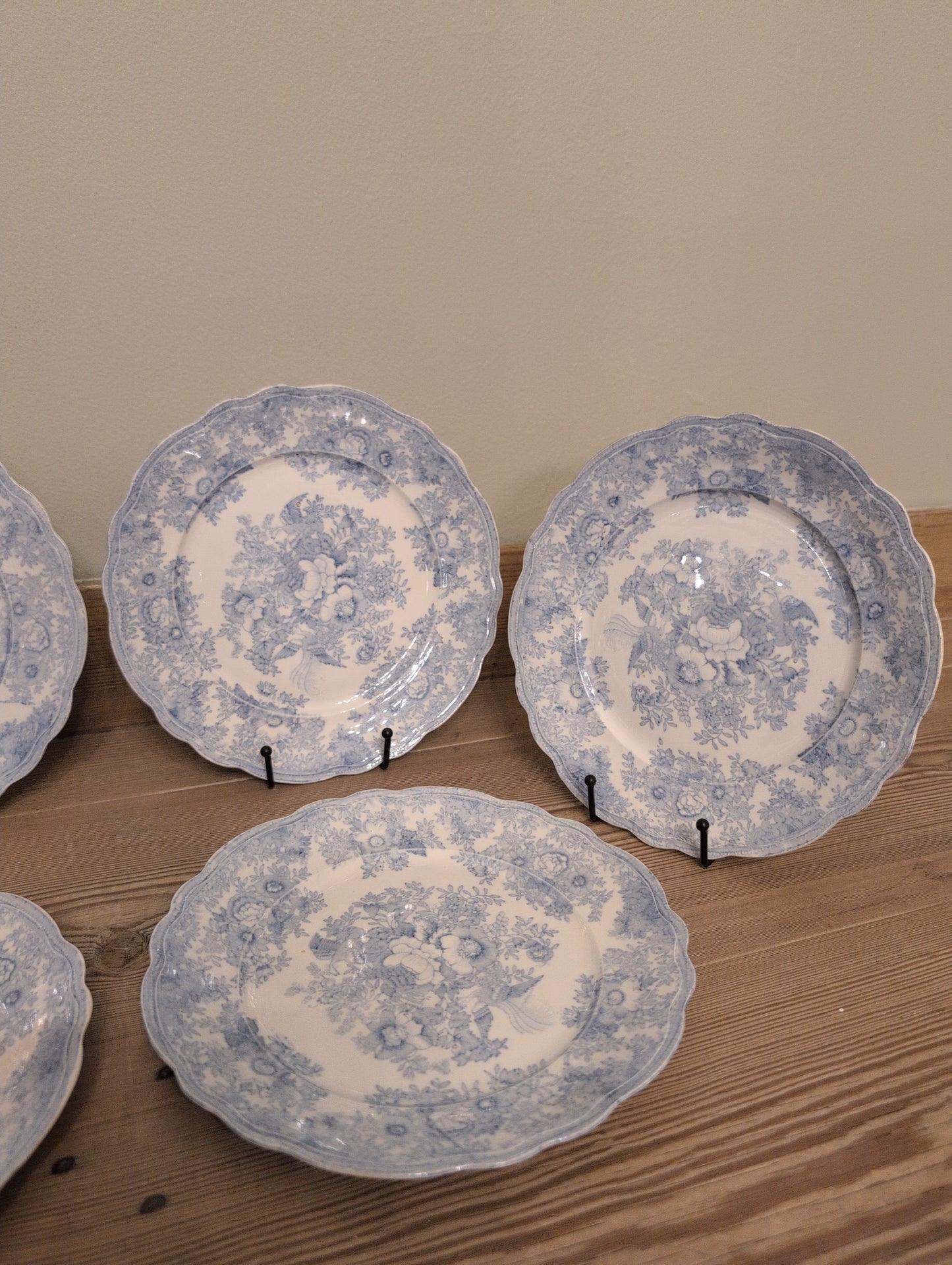 Asiatic Pheasant 9.5" Plate