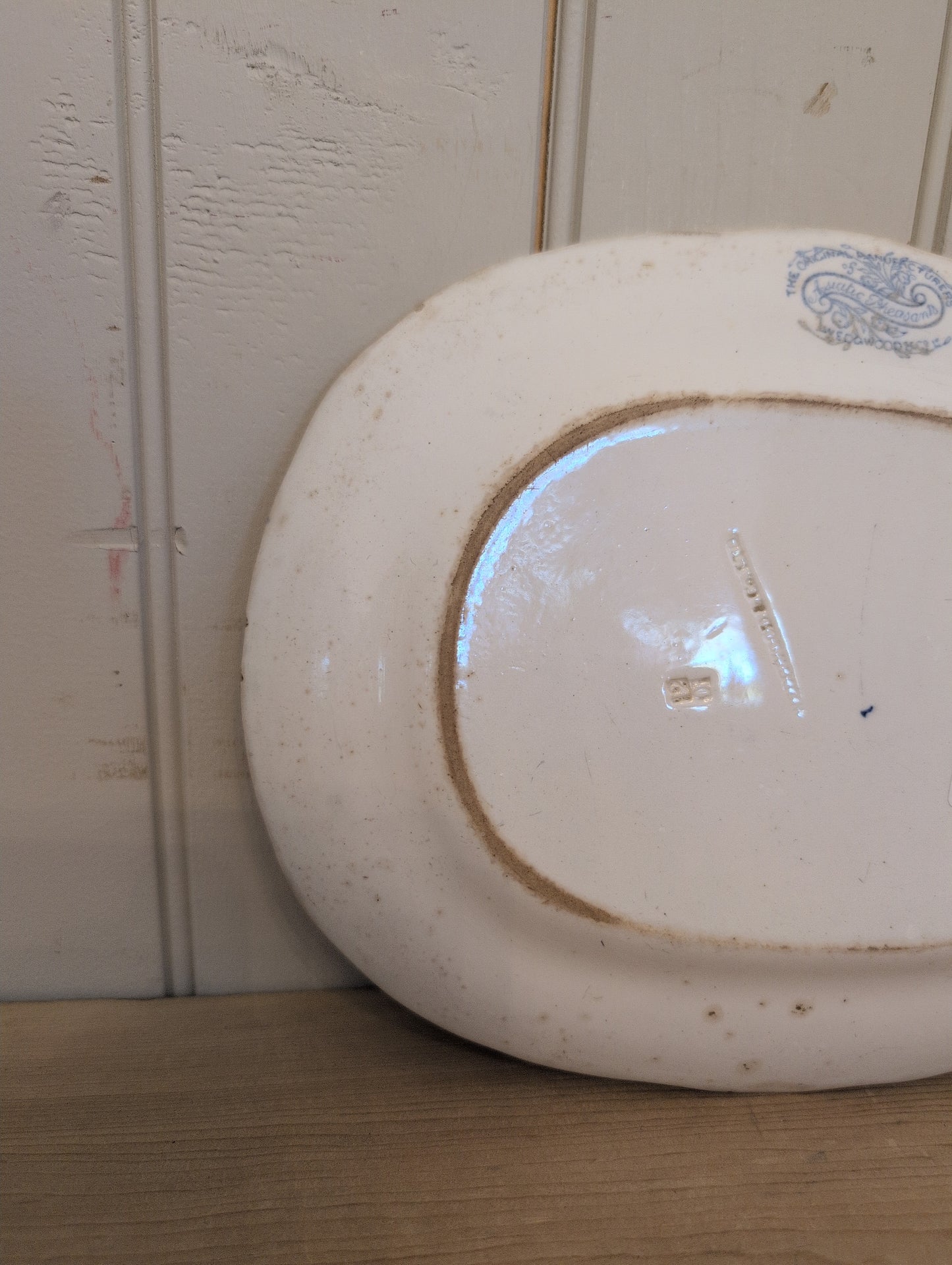 Asiatic Pheasant XS Scalloped Platter