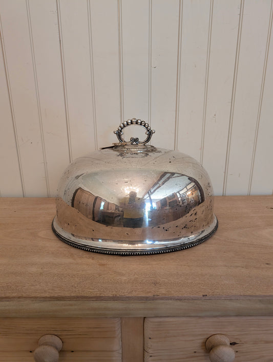Victorian Food Cover