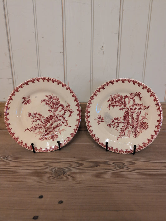 French Gien Chardons Lunch Plate