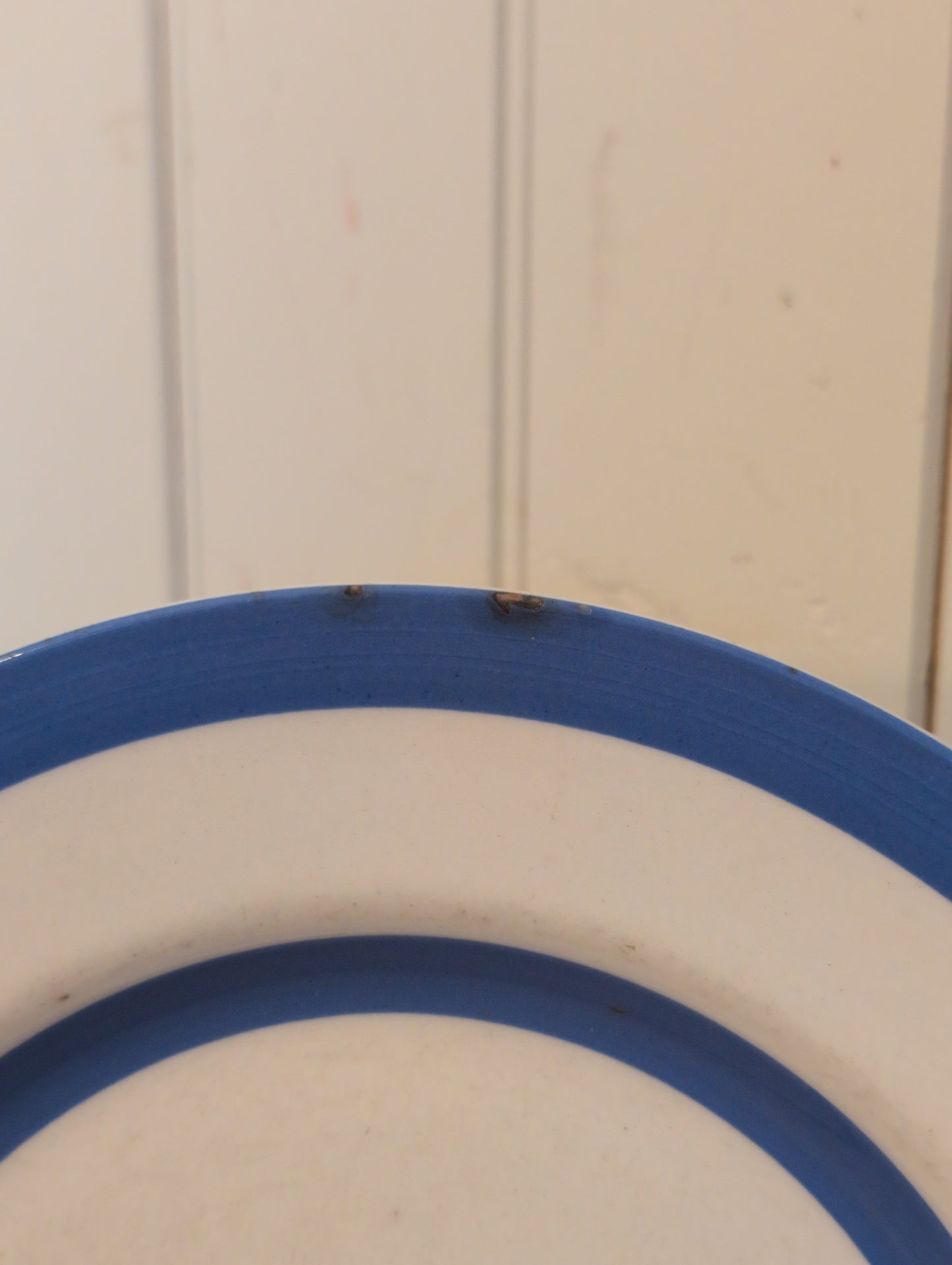 Cornishware 10" Plate Green Shield