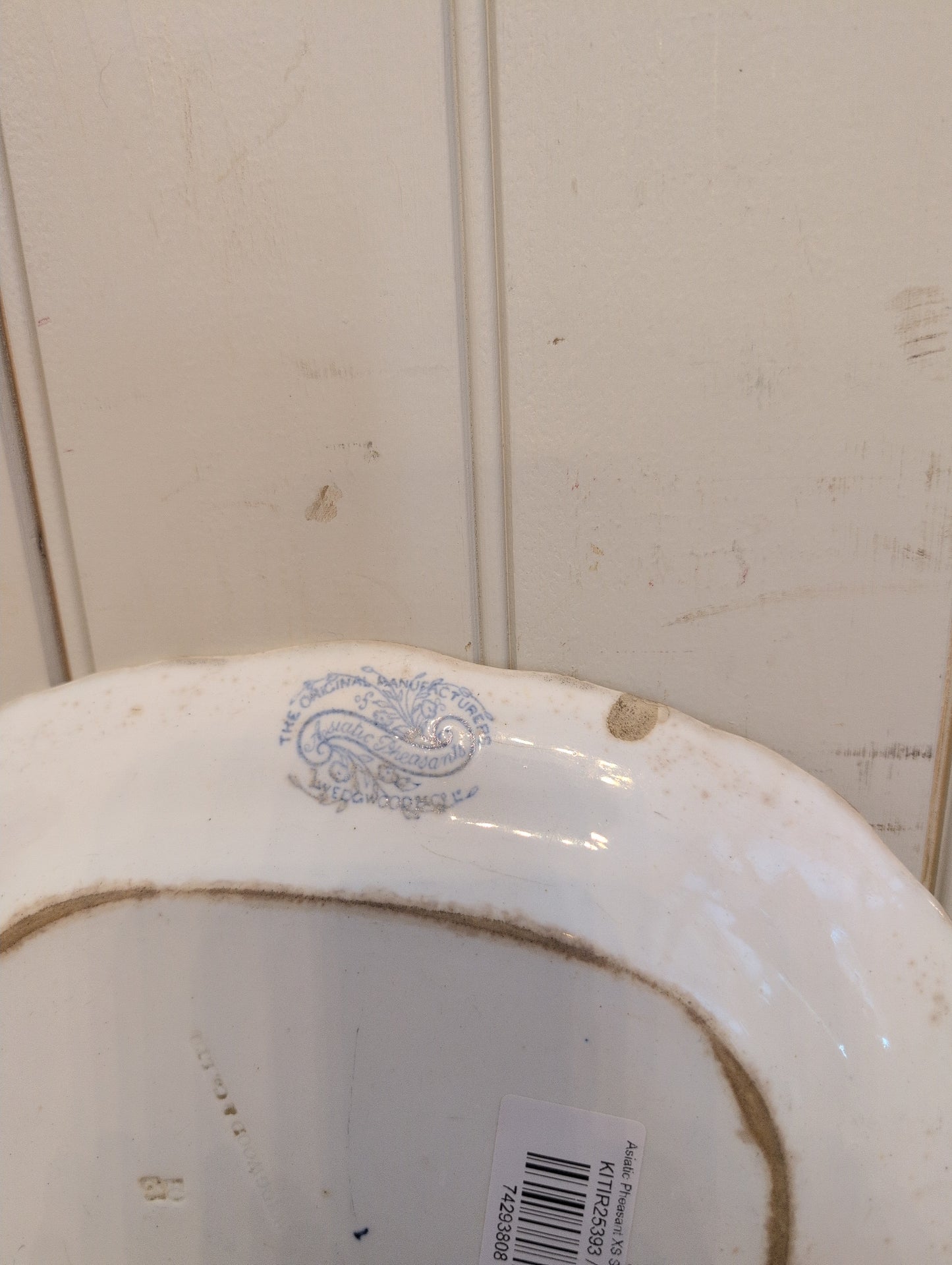 Asiatic Pheasant XS Scalloped Platter