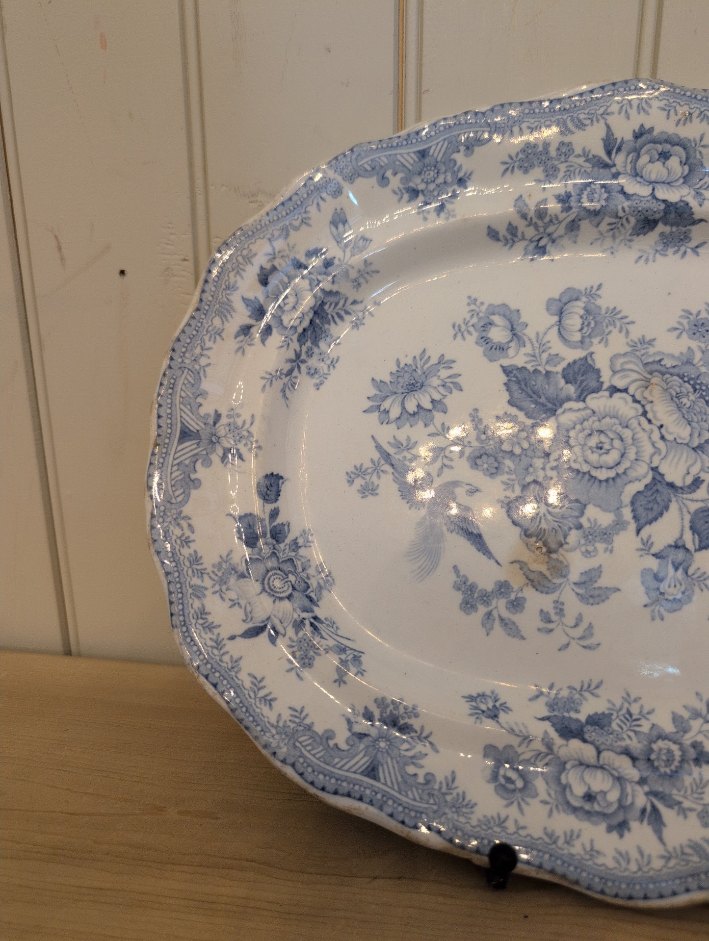 Asiatic Pheasant M Scalloped Platter