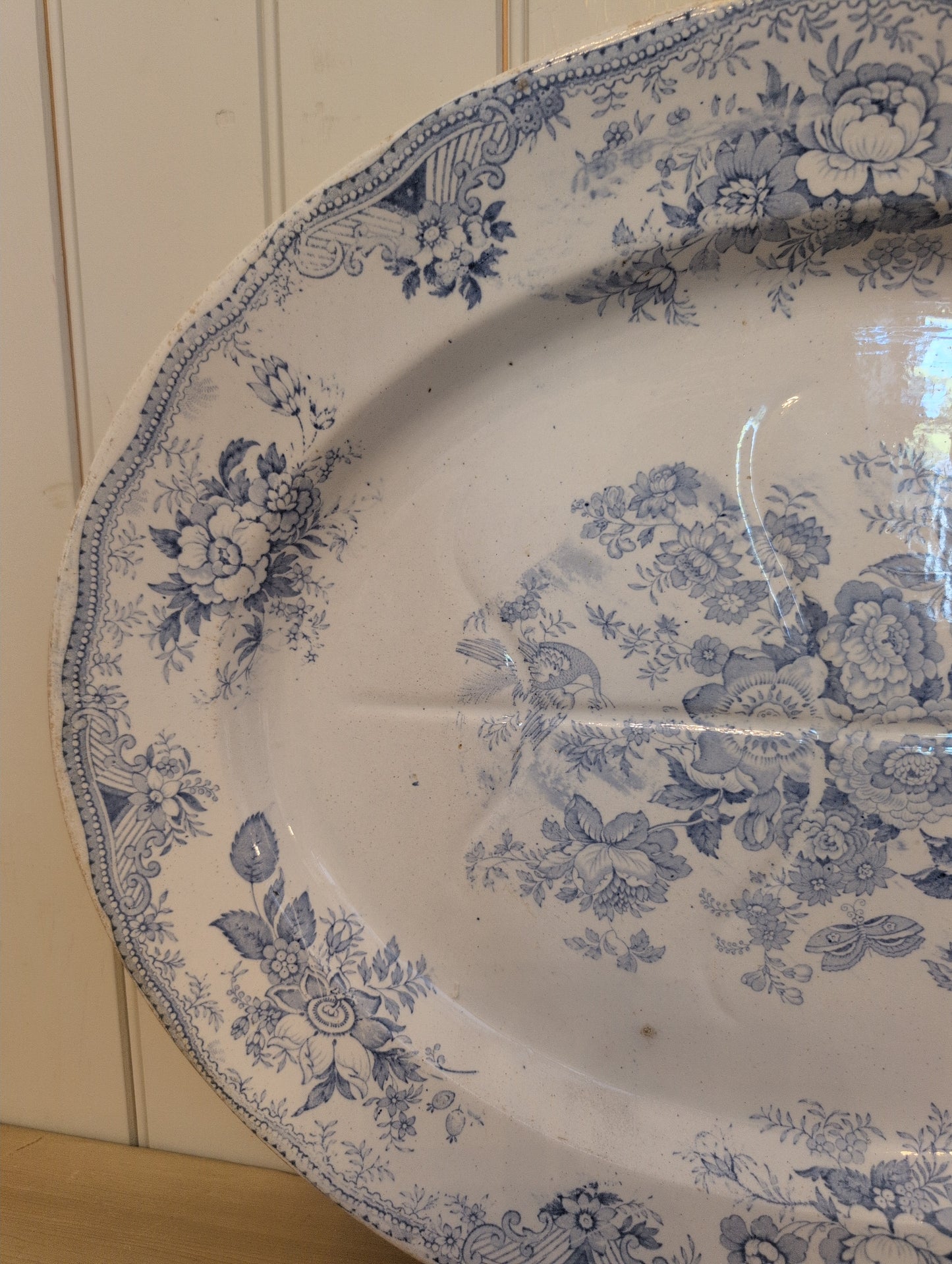 Asiatic Pheasant XXL Oval Meat Platter