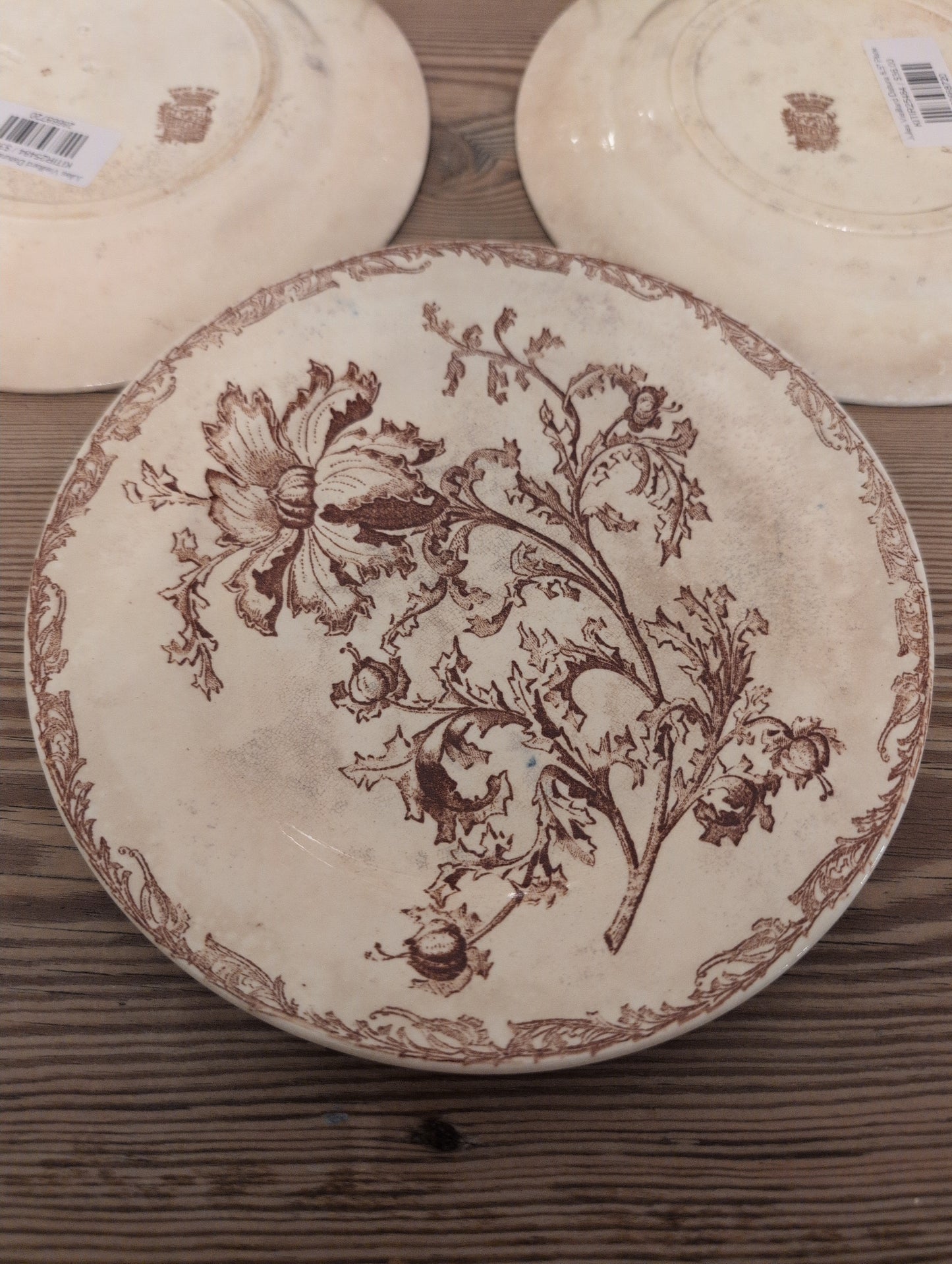 Jules Vieillard Datura 8.5" Plate