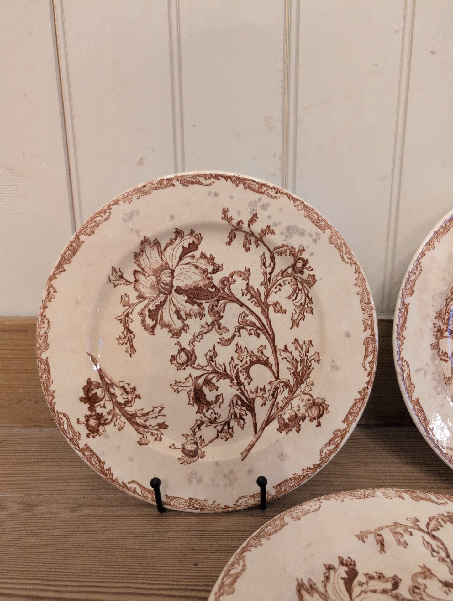 Jules Vieillard Datura 9.25" Plate