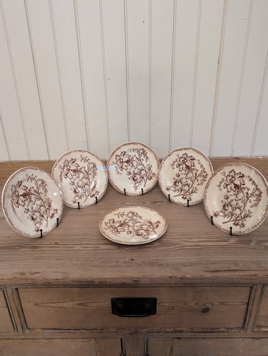 Jules Vieillard Datura 8.5" Plate