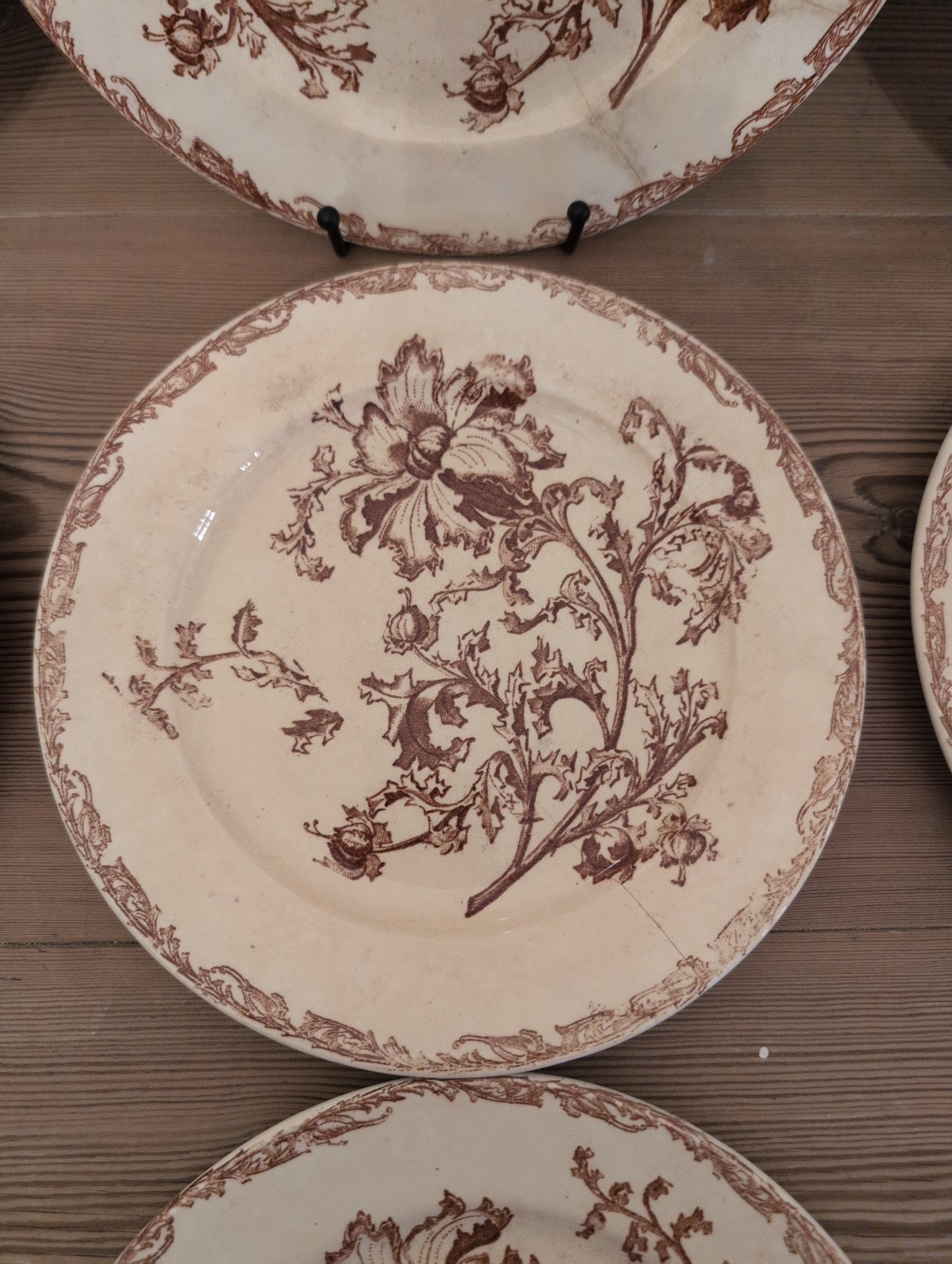 Jules Vieillard Datura 9.25" Plate Imperfect